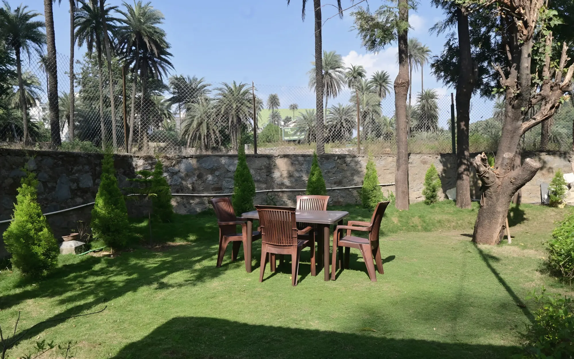 Table and chairs on the lawn under the trees